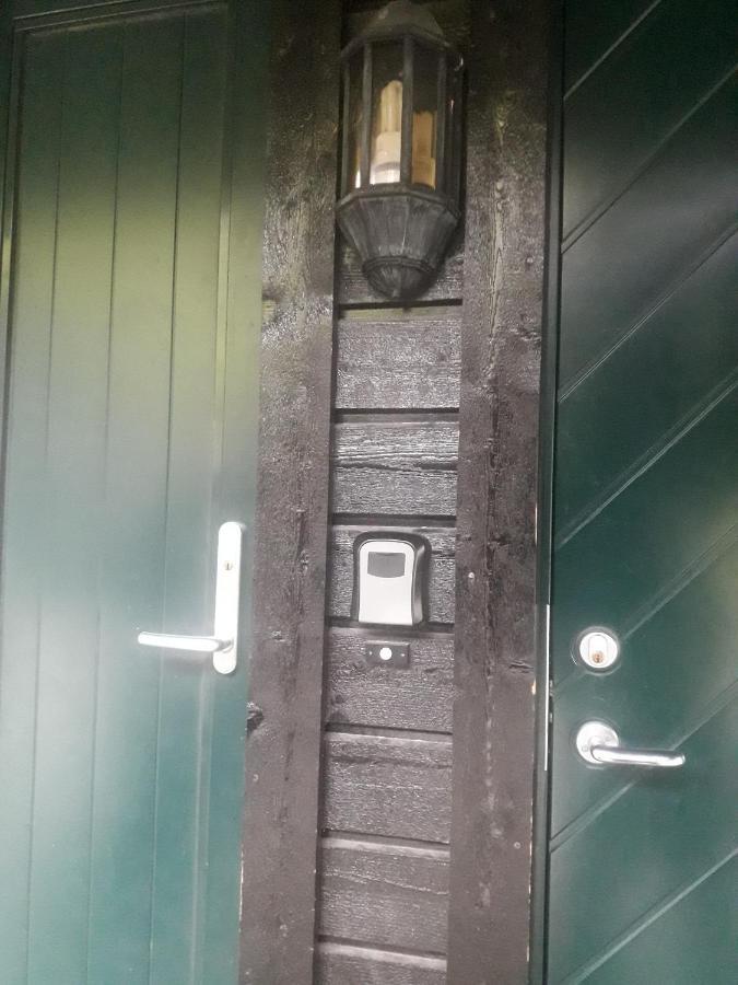 Apartement Roldal Alpingrend エクステリア 写真